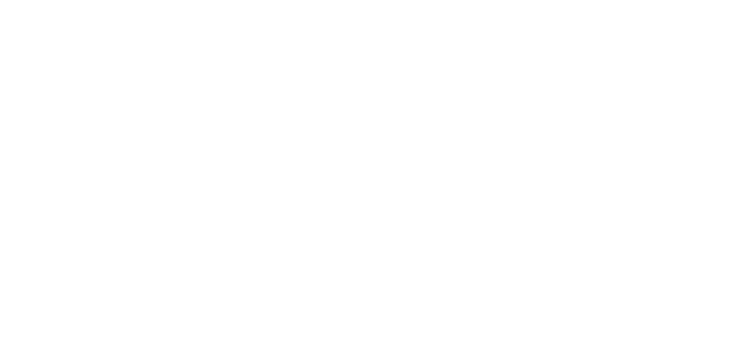 Logo GoetheInstitut white